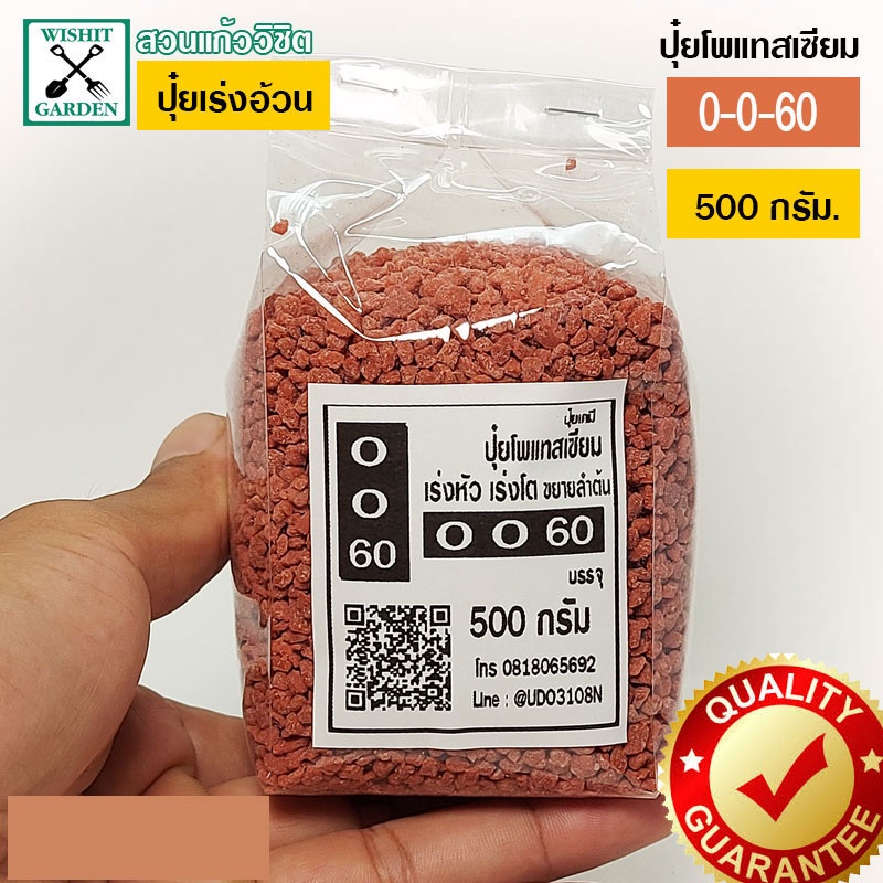 ปุ๋ยใส่ต้นไม้เร่งอ้วน ปุ๋ยโพแทสเซียม ปุ๋ย 0-0-60 บรรจุ 500 กรัม ปุ๋ยเร่งโต ปุ๋ยเร่งหัว ปุ๋ยขยายต้น ป