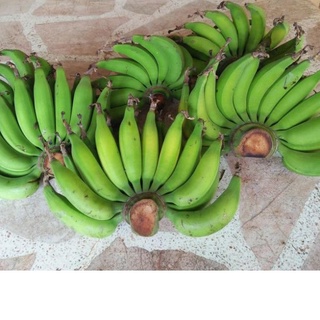 ราคากล้วยเล็บมือนางพันธุ์จากชุมพรปลอดสารหวีละ 15-20 บาท 5แถม1 เนื้อแน่นทานอร่อย(ขอขั้นต่ำ 2หวีนะคะ)