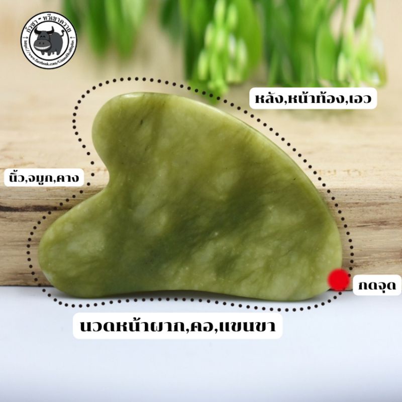 กัวซาหยก(งานพรีเมี่ยม) นวดหน้า กระชับรูขุมขน ลดริ้วรอย หน้าใส ดูอ่อนกว่าวัย แท้ แถมคู่มือฟรี