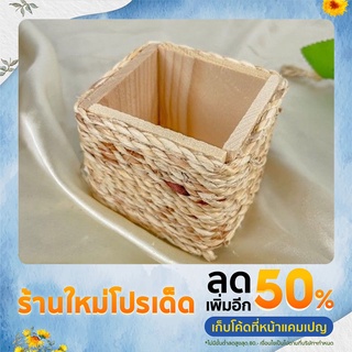 🎋กระถางต้นไม้จิ๋ว​ พร้อมฐานรอง​ พันเชือก🎋