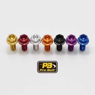 Pro-Bolt อลูมิเนียม หัวเรซสเปค M8x15,20,25,30,35,40,45mm