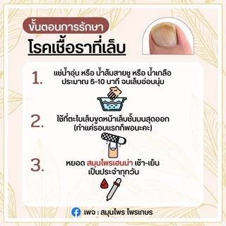 🌿สมุนไพรเฮนน่า🌿 ยารักษาเล็บขบ รักษาเชื้อราที่เล็บ ช่วยให้แผลแห้งไว ไม่เป็นหนอง ของแท้จากแบรนด์ไพรเกษร