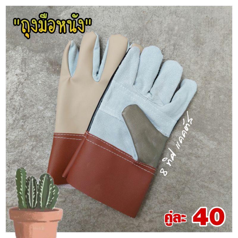 // ถุงมือหนัง // ป้องกันหนาม อย่างดี จับ แคคตัส กระบองเพชร