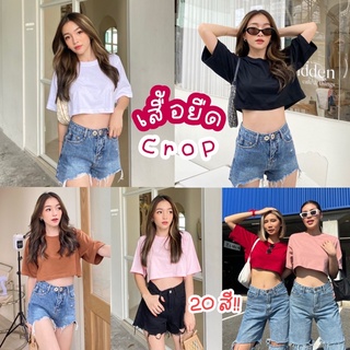 🔆Sunny🔆Pastel Crop🌈เสื้อครอปแขนสั้นสีพาสเทล 20สี‼️เสื้อยืดครอปคอกลม เสื้อยืดเอวลอย