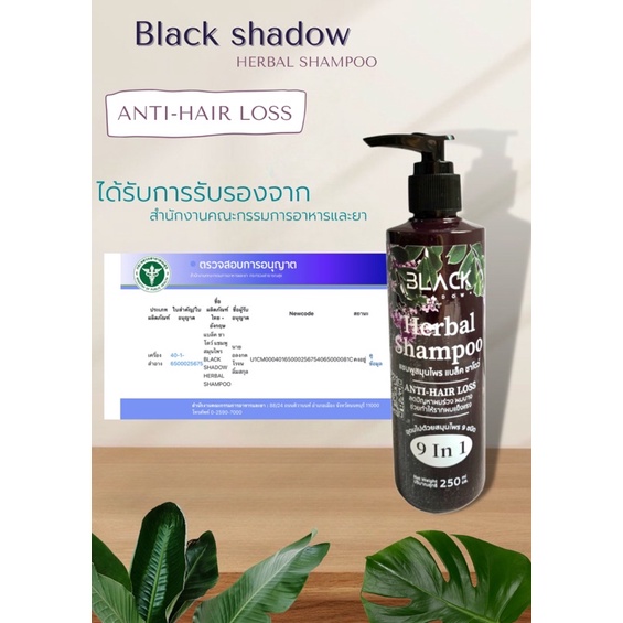 Black shadow herbal shampoo แชมพูลดผมร่วงผมบางหนังศีรษะล้านลดผมมันขจัด ...