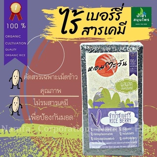 ข้าวกล้อง ไรซ์เบอรี่ คัดพิเศษ ไร้สาร 1 กก.ข้าวไรซ์เบอรี่’’ 100%  แพ็คสูญญากาศ  ข้าวไรซ์เบอร์รี่ ข้าวเพื่อสุขภาพ