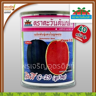 เมล็ดพันธุ์แตงโม แตงโมกินรี C-29 F1 ลูกใหญ่ (40 กรัม) เมล็ดแตงโมกินรี แตงโมลูกผสม เมล็ดพันธุ์ผักสวนครัว ตราตะวันต้นกล้า