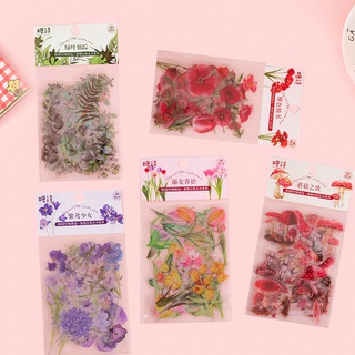 สติ๊กเกอร์ Pet Nature Plant Series กันน้ํา Diy สําหรับตกแต่งไดอารี่ 40 ชิ้น