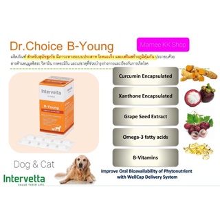 B-Young Dr.Choice Intervetta🥇ของแท้🥇( หมดอายุ 04/2025 ) อาหารเสริมรวม หมา แมว สูงวัย แก่ บำรุงประสาท(ชัก) สมอง(อัลไซเมอ)