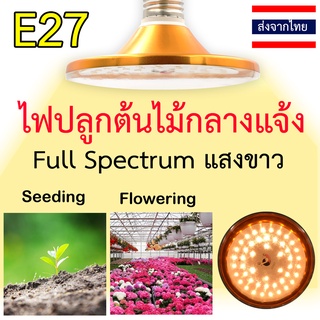 ไฟปลูกต้นไม้กันน้ำ ไฟปลูกพืชกลางแจ้ง 48 LED IP64 E27 Full Spectrum โคมไฟเร่งโต สำหรับผักผลไม้ ไฮโดรไฮโดรโปนิกส์ มันเทศ