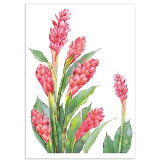 พร้อมส่ง สติ๊กเกอร์ลอกน้ำ DIY LIVING STYLE RED GALANGAL 34X47 ซม. แต่งผนัง sticker