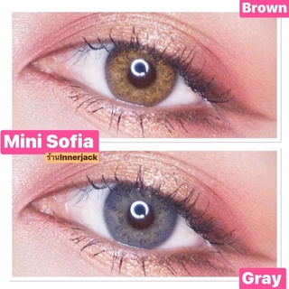 🌼Mini Sofia Brown/Gray🌼สายตาปกติ,-3.25,-4.25(Kitty kawaii)