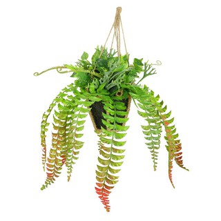 กระเช้าเฟิร์นประดิษฐ์(สั้น) TY-H05 ARTIFICIAL FERN WITH HANGING BASKET SPRING TY-H05