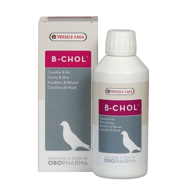 B-CHOL อาหารเสริมสำหรับนก บำรุงตับ ขับสารพิษจากตับ กระตุ้นการผลัดขน (500 ml.), Versele Laga