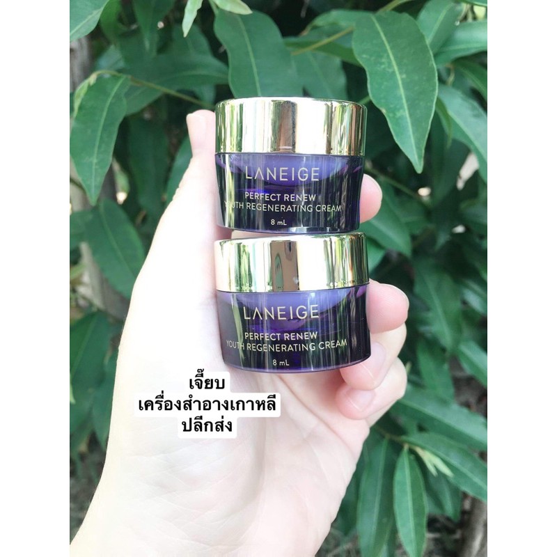 perfect renew youth regenerating cream