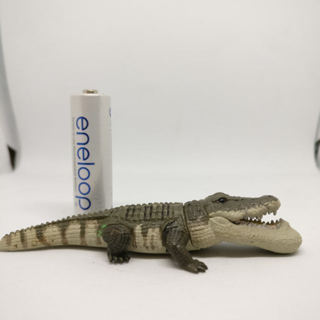 Crocodile model