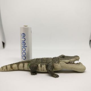 Crocodile model