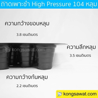 ถาดเพาะกล้า ถาดเพาะเมล็ด ถาดเพาะชำ 104 หลุม รุ่นหลุมเกลียว ( 10 ใบ)