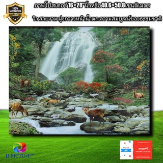 ภาพโปสเตอร์ติดผนังวิว  ฝูงกวางหน้าน้ำตก ขนาด16×20"นิ้ว