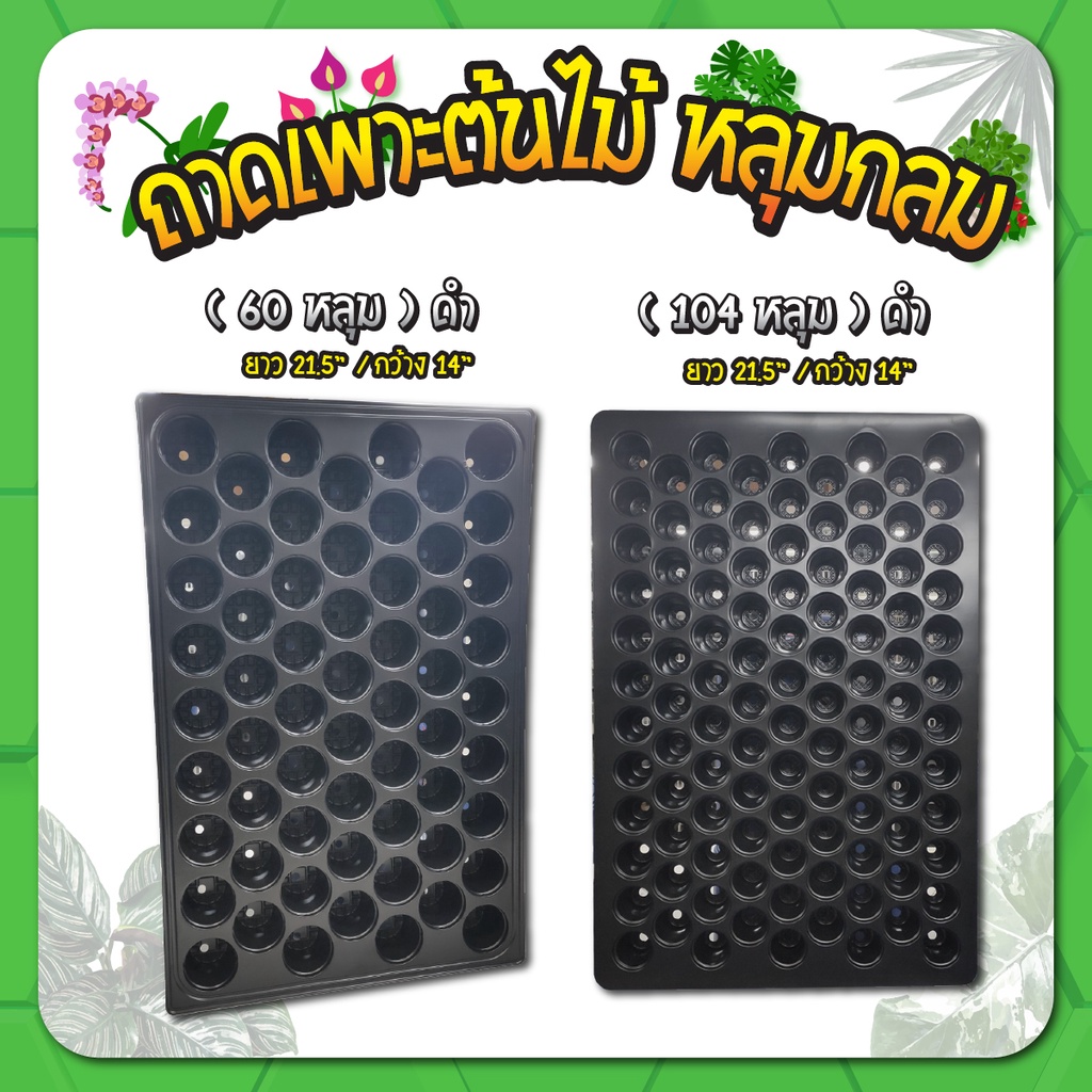 ถาดเพาะกล้า ถาดเพาะชำ ถาดเพาะเมล็ด ต้นอ่อน ขนาด 60, 104, 105, 200หลุม 50ใบ/100ใบ