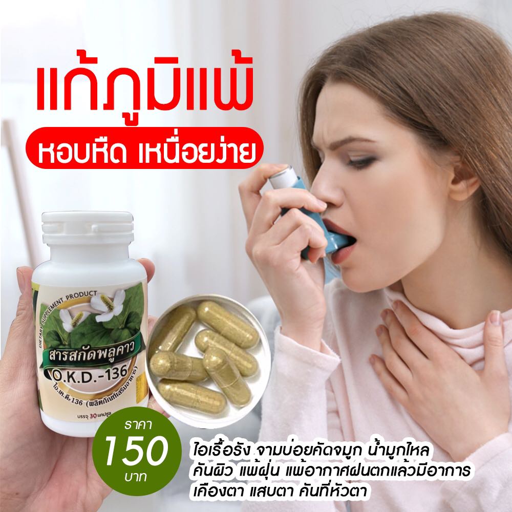 พลูคาวสกัด O.K.D 136 ชนิดแคปซูล เสริมสร้างภูมิต้านทาน หวัด ไอเรื้อรัง แพ้อากาศ บรรจุ 30แคปซูล