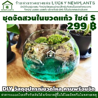 ชุดสวนขวด DIY ไซต์ S สวนเปิด 299 บาท ชุดตกแต่งธารน้ำสีเขียว