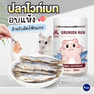 Royalty Pets ปลาไวท์เบท อบแห้ง สำหรับสัตว์ฟันแทะ อาหารแฮมเตอร์ ขนมสำหรับสัตว์เลี้ยง หนอนอบแห้ง RY0159