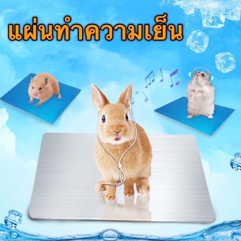 R-42 ที่นอนเย็น อลูมิเนียม แผ่นทำความเย็นสำหรับสัตว์เล็ก หนูแฮมสเตอร์ ชูการ์ กระรอก หนา2mm