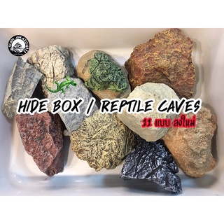 🐢รวม Hide box / Reptile caves (พร้อมส่ง) ที่หลบซ่อนสัตว์เลื้อยคลาน หลากหลายแบบ