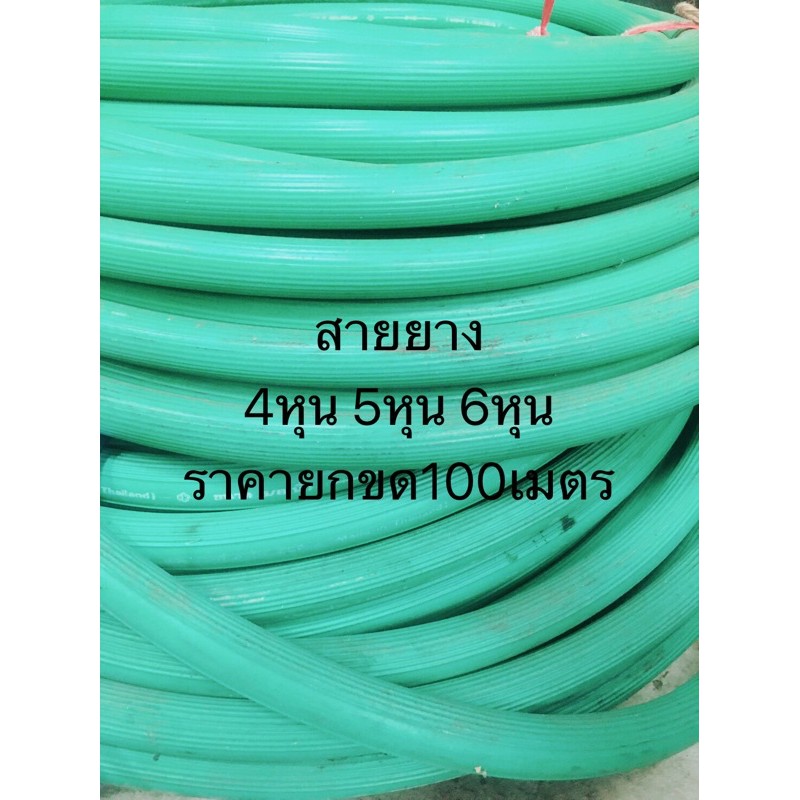 สายยางเขียว 4หุน 5หุน 6หุน ราคา ขด 100เมตร สายส่งน้ำ สายยาง รดน้ำ ต้นไม้