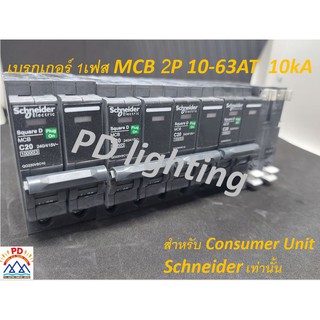 เซอร์กิตเบรกเกอร์ Main สำหรับตู้ Consumer Unit 16-63A 10kA 2P