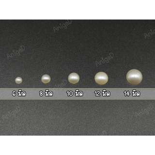 มุกซีกสีครีม 6/8/10/12/14 มิล 20 กรัม มุกครึ่งซีก มุกตกแต่ง อุปกรณ์แต่งงาน พับเหรียญ เหรียญโปรยทาน DIY