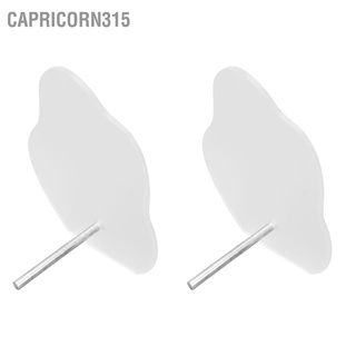 Capricorn315 บอร์ดอะคริลิค สําหรับโชว์เล็บ 2 ชิ้น