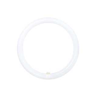 หลอด LED หลอดไฟ LED TOSHIBA MAGNETIC CIRCULAR 20 วัตต์ DAYLIGHT