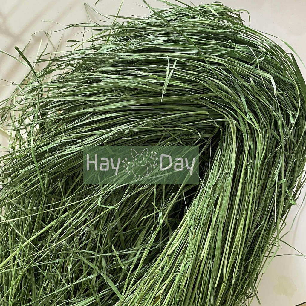 🔹หญ้าทิมโมธี🔹อบลมร้อน คัดเกรดพิเศษ หญ้ากระต่าย Timothy อบกรอบ เส้นยาว หอม ใบเยอะ ก้านเล็กกรอบ - รูปที่ 2