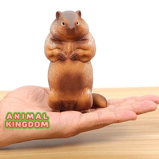 Animal Kingdom - โมเดลสัตว์ มาร์มอต แดง ขนาด 11.00 CM (จากหาดใหญ่)