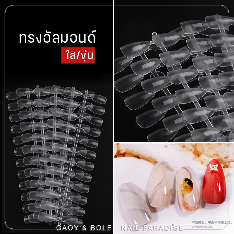 ชาร์ตสี พร้อมส่งทุกวัน ทรงอัลมอนด์ Almond แผ่นลองสีทาเล็บ บาร์ยาว ใส/ขุ่น ทาได้ 120/240 สี ชาร์ตสีทา