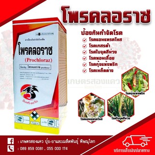 โพรคลอราช 45% (สารกำจัดเชื้อรา โรคแอนแทรกโนส)- โพรคลอราช ขนาด1ลิตร