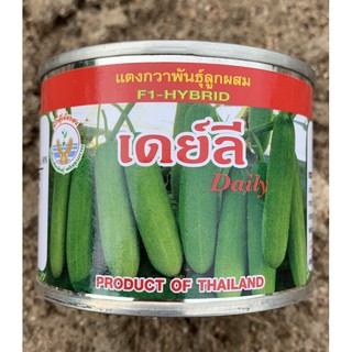 เมล็ดพันธุ์แตงกวาเดย์ลี ขนาด50กรัม และ 100 กรัม