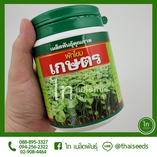 ผักโขม เกษตร เมล็ดพันธุ์ ผักโขม ลูกผสม ตรา เสือดาว บรรจุ 250…