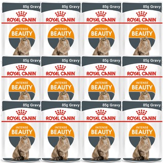 Royal Canin Intense Beauty in Gravy 85g (12pcs) อาหารแมวเปียก รอยัล คานิน สูตรบำรุงขนและผิวหนัง