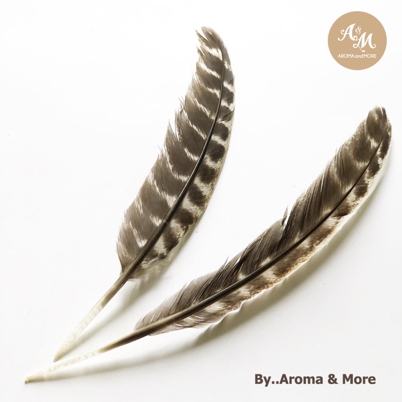 Aroma&More  ขนนก Turkey feather ขนาด 8-9,10-12นิ้ว สำหรับใช้โบกควันระหว่างการจุดใช้งาน White sage,Palo santo,Cedar