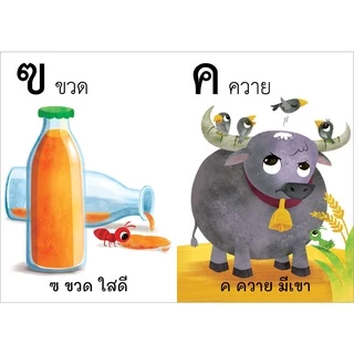 Plan for Kids หนังสือเด็ก เรื่อง หนูหัดอ่าน กขค (แบบฝึกอ่าน)