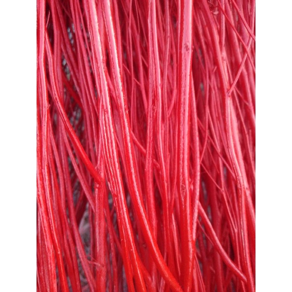 หญ้าขัดมอญพ่นตกแต่งสวน - รูปที่ 6