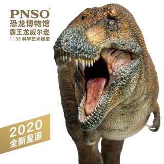 Ppnso โมเดลฟิกเกอร์ไดโนเสาร์ King Tyrannosaurus Rex Tyrannosaurus ของเล่นเสริมการเรียนรู้วิทยาศาสตร์ สําหรับเด็ก พร้อมส่ง