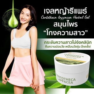 สูตรใหม่ เจลหญ้ารีแพร์ (Centotheca lappacea Herbal Gel) สมุนไพรในตำนาน “สมุนไพรช่วยกระชับความสาว” ขนาด 50กรัม