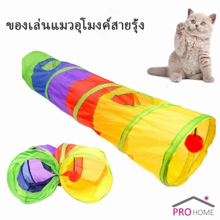 อุโมงค์ของเล่นน้องแมว อุโมงค์สายรุ้ง  Rainbow tunnel cat toy [A609]