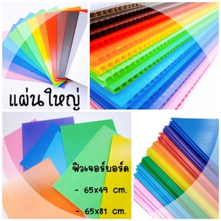 ฟิวเจอร์บอร์ด ขนาด 65x49 ซม. และ 65x81 ซม. หนา 3 มม. (แพ็คละ 3 แผ่น) แผ่นพลาสติกลูกฟูก ทำจากพลาสติกเกรดเอ ทนทาน