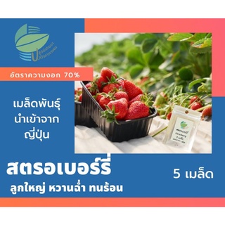 เมล็ดพันธุ์ สตรอเบอร์รี่ (Strawberry)