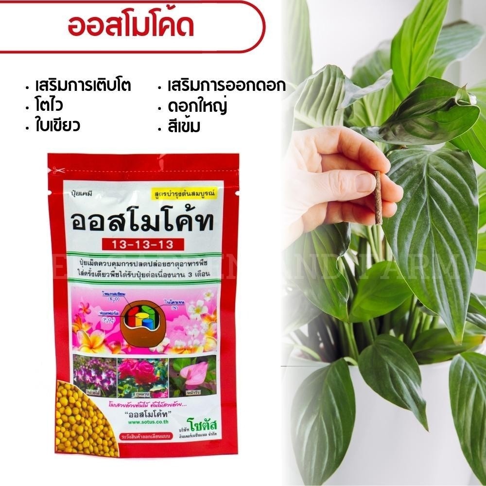 ปุ๋ยยาออสโมโค้ท13-13-13